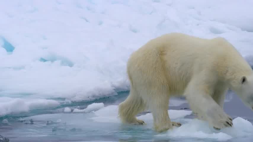 [Image: 5mhcrne0t26k.jpg]