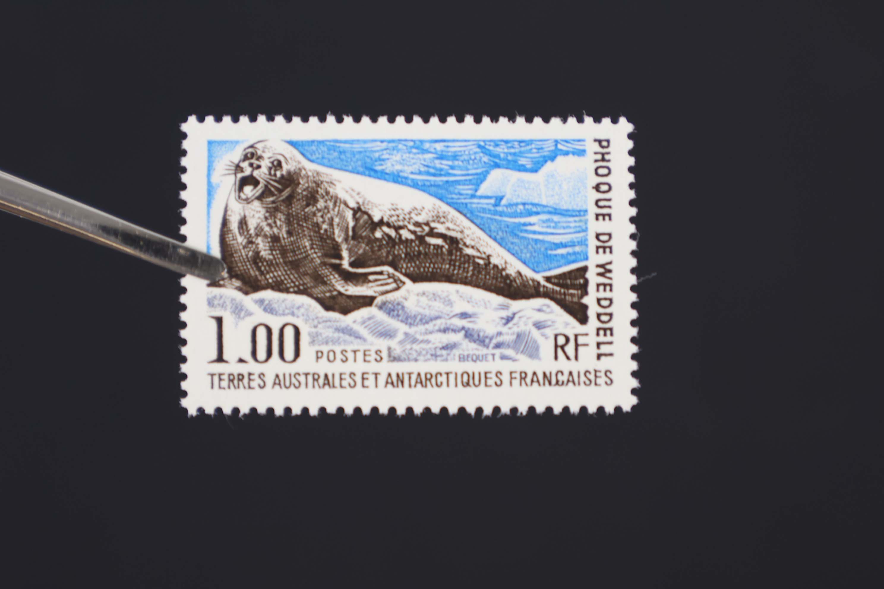 IMG-6120
