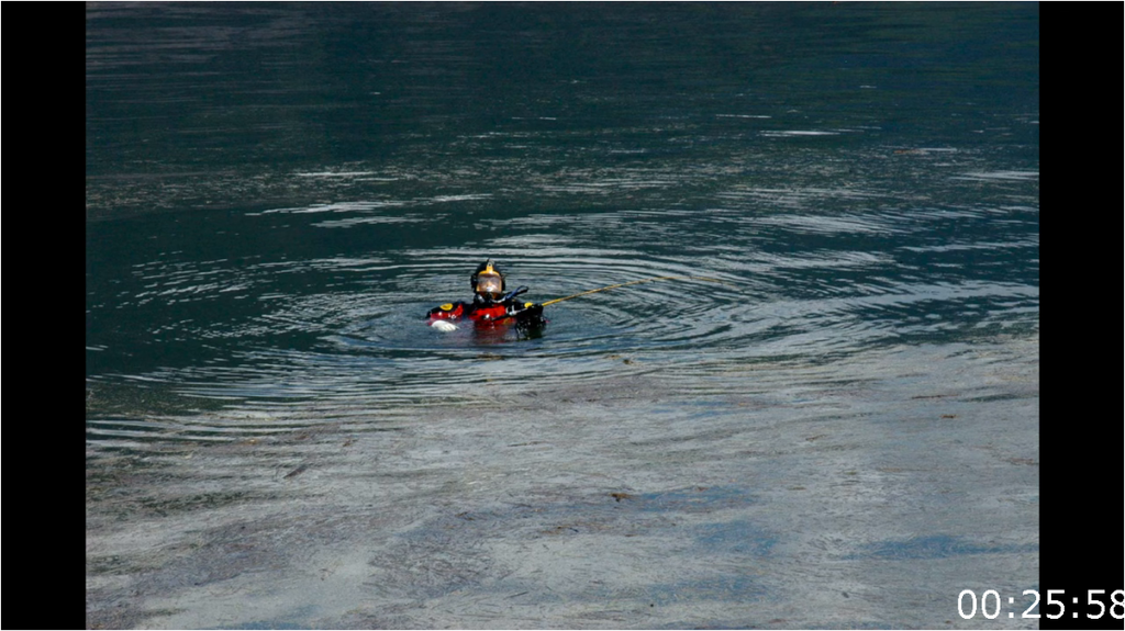 [Image: 5gy5k21fccdr.png]