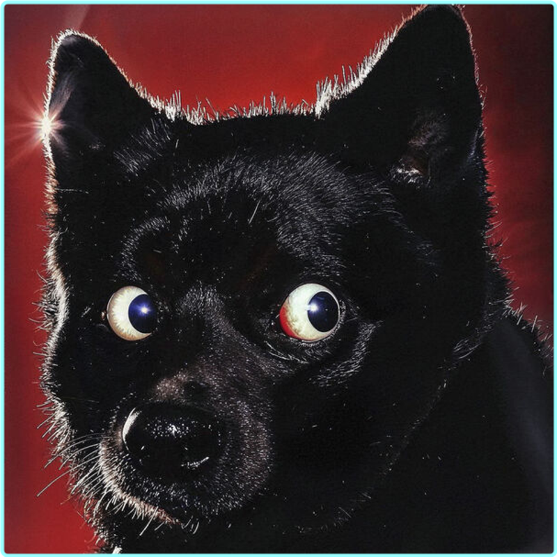 euak98wrwc90.png