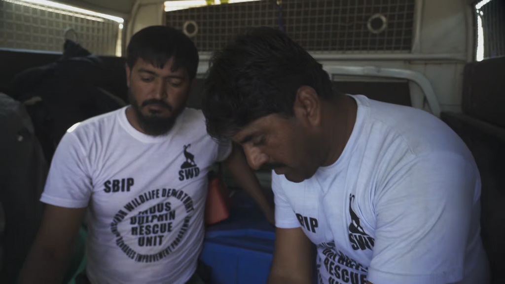 [Image: j3t9nyy25qlr.png]