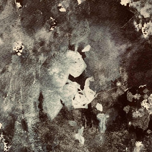 Trismus - A Walk In The Concrete Field EP (2026)