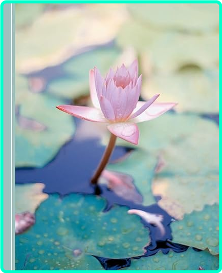 [Image: hif7yii024zs.png]