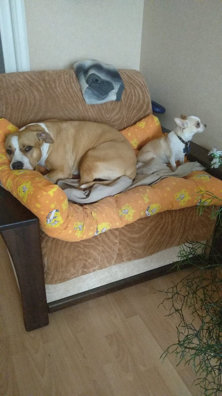 1DDA8B1D-B4B0-4169-9E7F-A4E98017CCC8