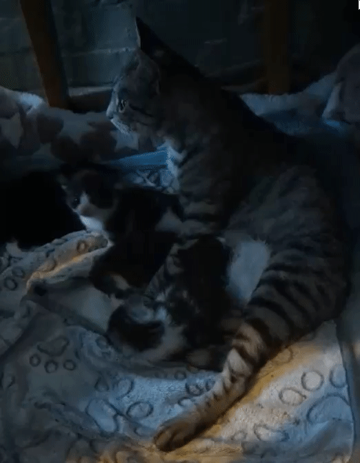 3248d7071714919c2556a2bda9423a31.gif