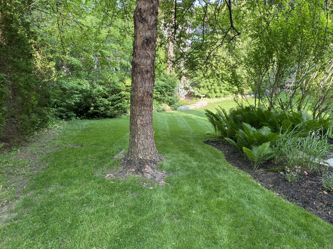 4CE43C26-C876-4E5C-BA3D-FCD64288D380