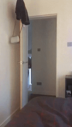 daily-gifdump-3339-08.gif