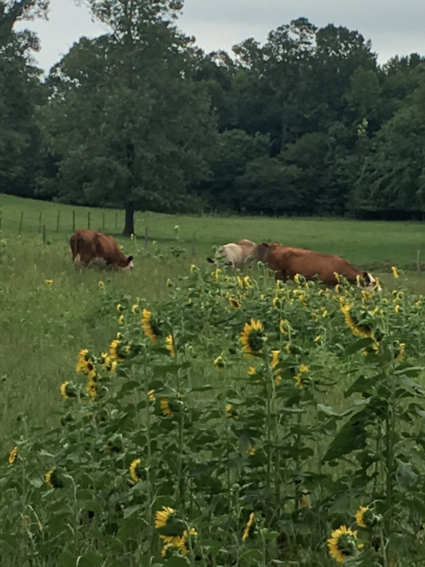 0C4A7E56-51FB-4172-BA91-2AE31C6B7BC8