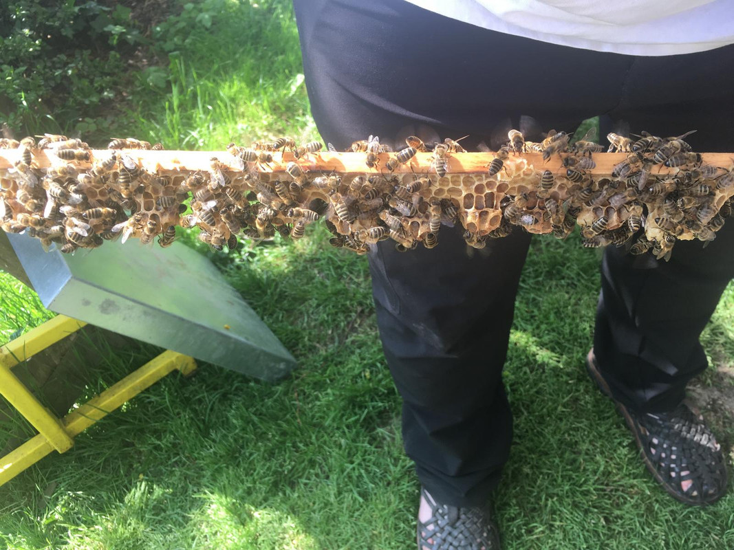 B86B6A38-8954-414D-800D-AB7DCCA60BD7