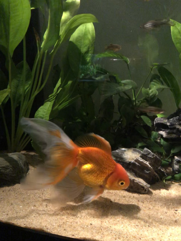 B8720C8A-FA18-4E24-9212-22C0B1065E34