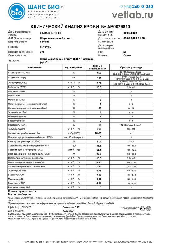 Клиническийанализкрови_Шереметьевский приют_AB0079810