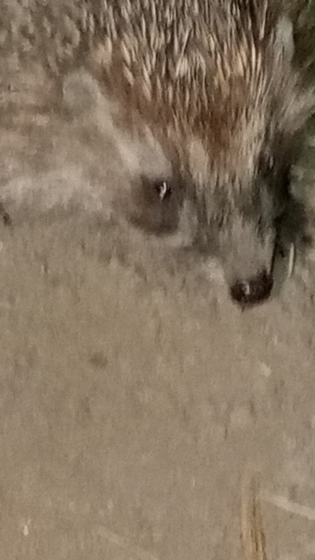 IMG_20220517_220138_448