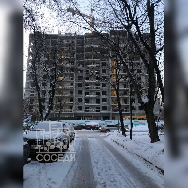 королева.jpg1