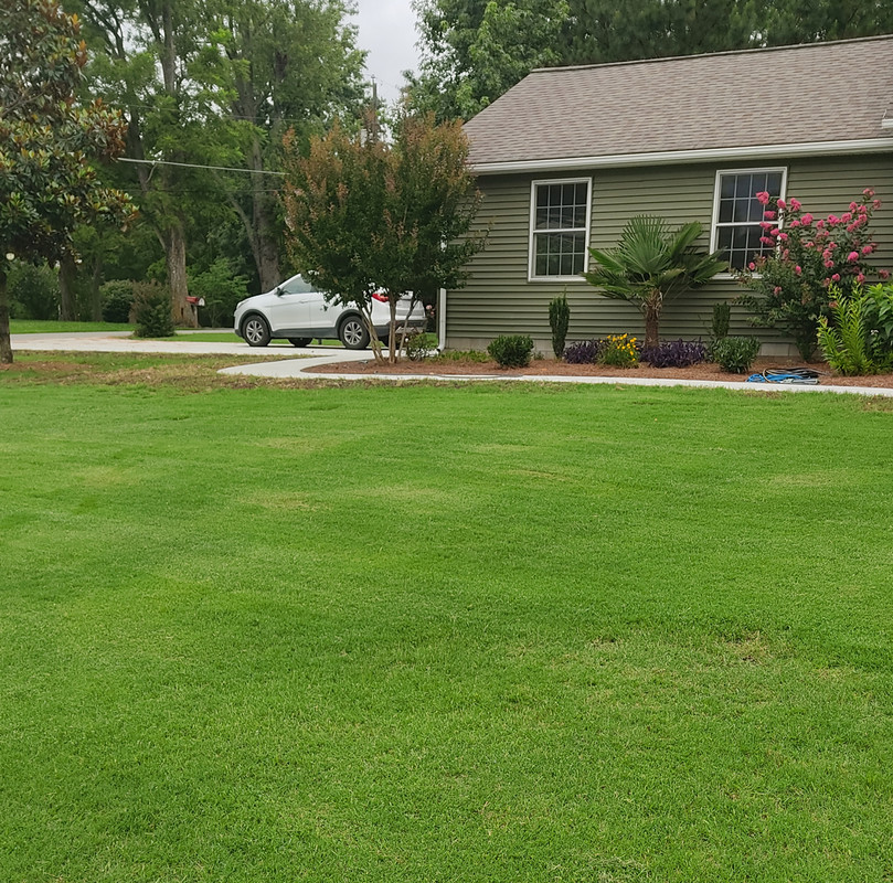 lawn