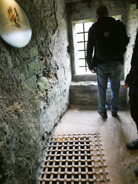 10 días por Irlanda en verano de 2024 - Blogs de Irlanda - DÍA 5 – Castillo Blarney – Parque Nacional Killarney (9)