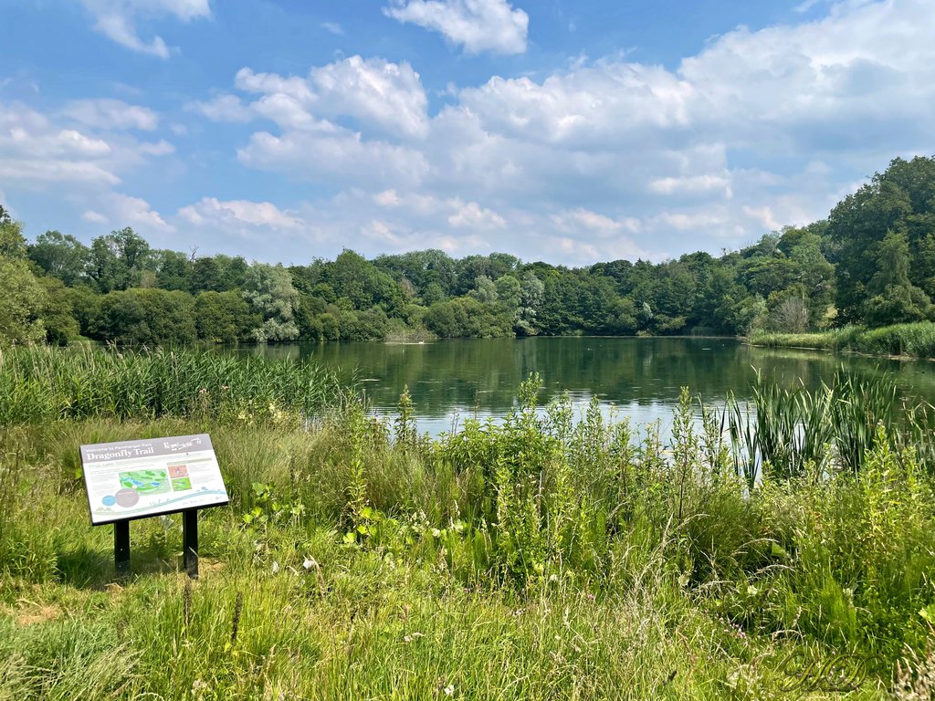 woods-bottom-lake-2-HD.jpg