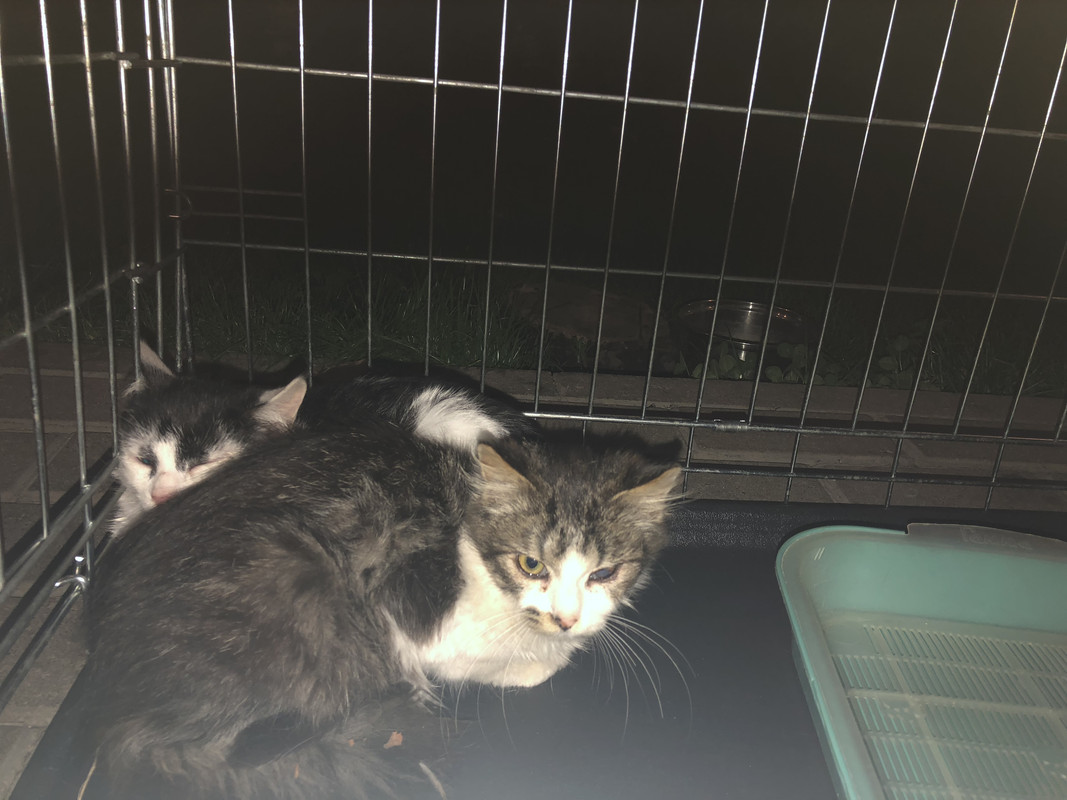 5E1F41AD-1CB1-4BF4-AC50-A79C83C4C96F