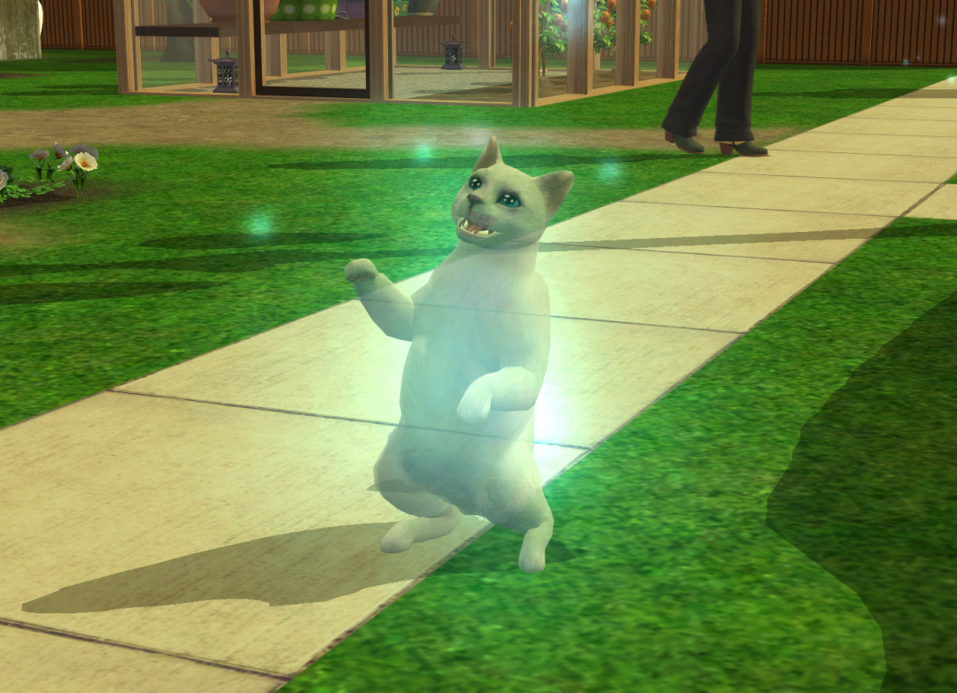 Sims2-EP9-RPC-2023-06-09-21-01-28-53