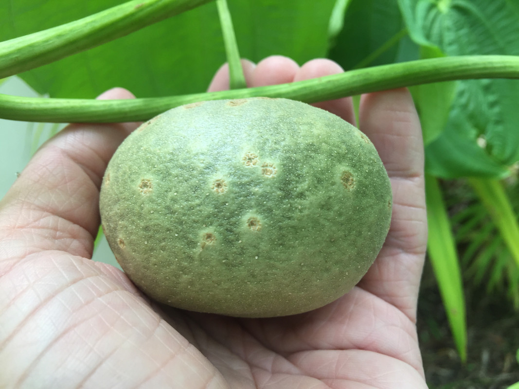 BEC0F70E-246D-4212-9696-3C792F7492CC