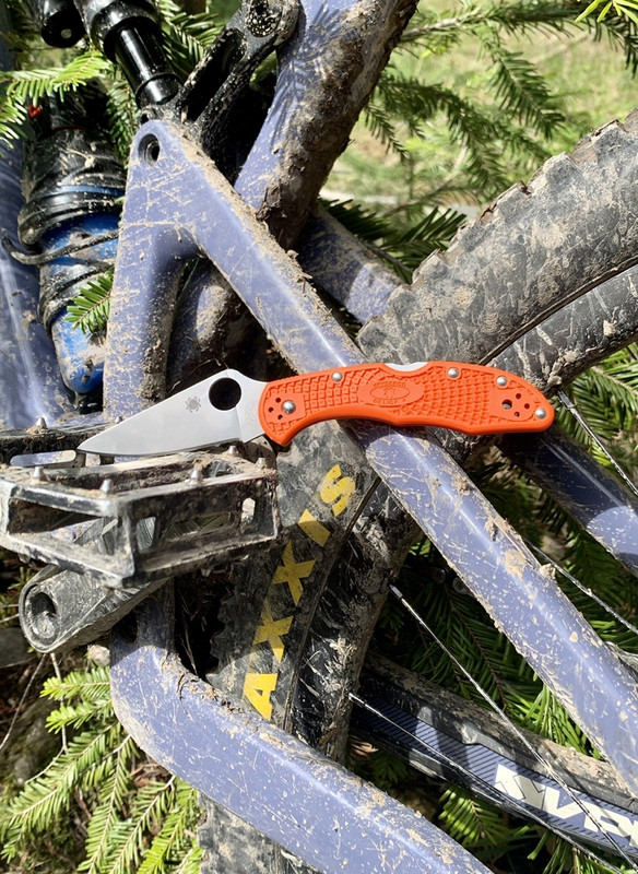 666E991A-81FB-470D-BFDA-5B56C59601F8