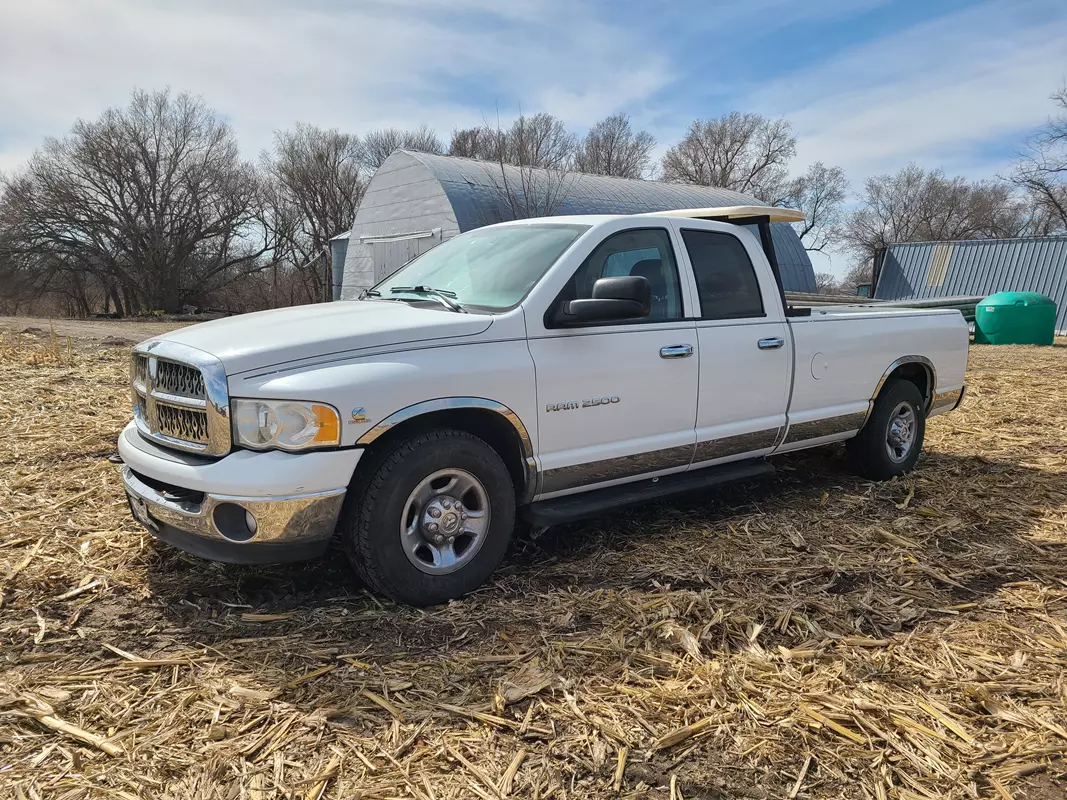 20250311_134433 (Copy)