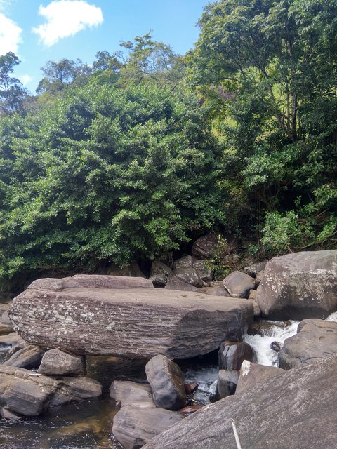 IMG-20230204-100046.jpg