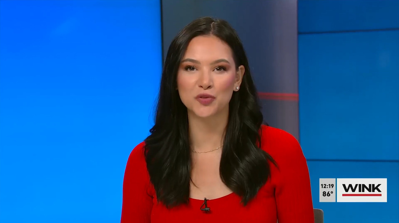 03.27 - 17.00.00 - The Wink Noon News  ᴺᵉʷ. Midday News Update.-1.mp4_snapshot_25.13.874