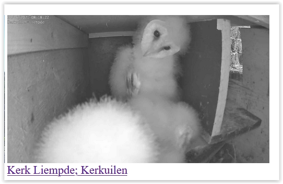 Screen Shot 06-10-21 at 08.18 AM 002