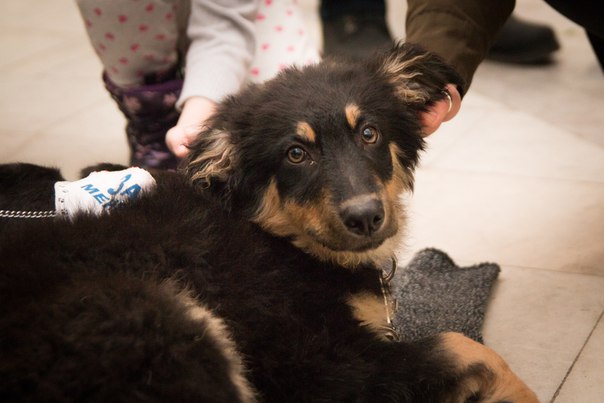 5C0FFA7E-724F-48D5-BF1E-3445AEBF514B