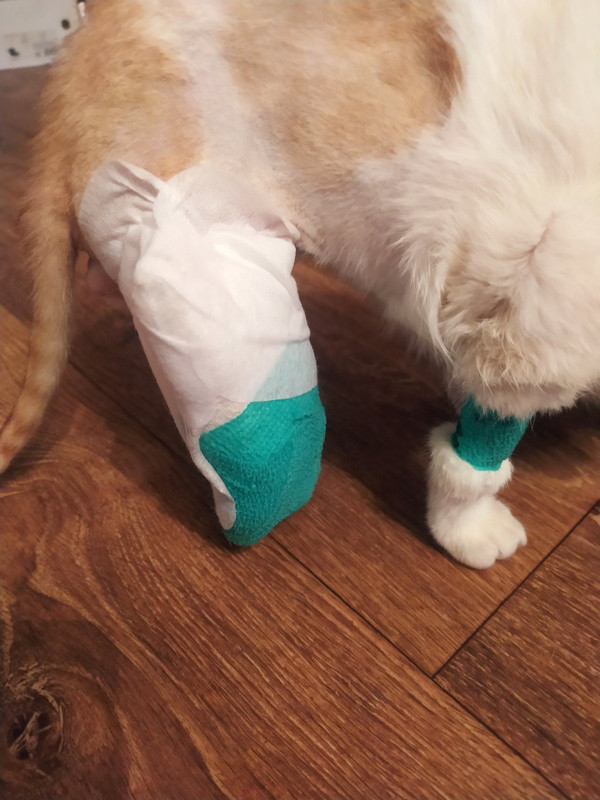 CA30F5C5-716B-4445-90F1-4C7C6C0A5817