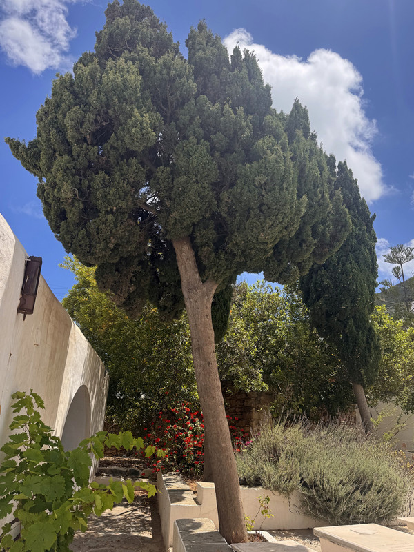 https://i.postimg.cc/W12FRRWG/IMG-3481-edit-160610544608823.jpg