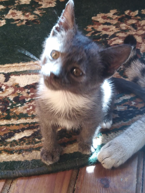 0A1FBB64-F797-4BB7-85CC-3E7ACF5D3E26