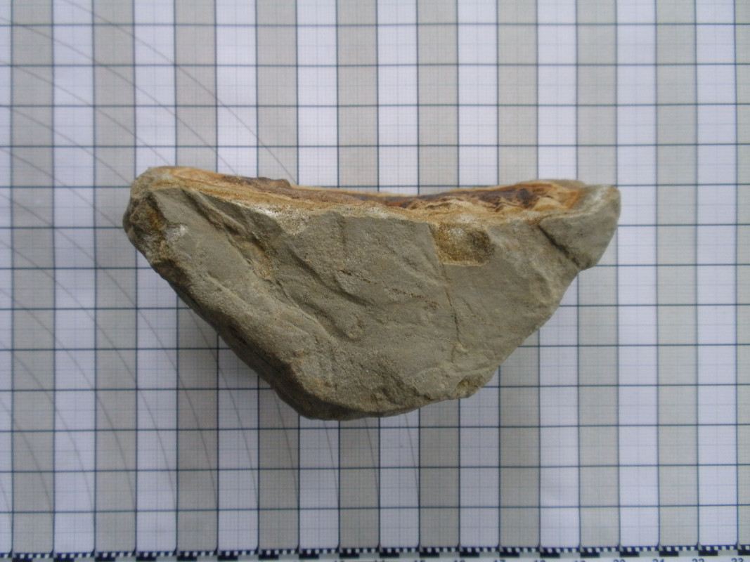 P5150107
