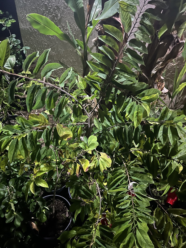 FAEF6515-6FC2-4B37-9EDD-12B831FFE504