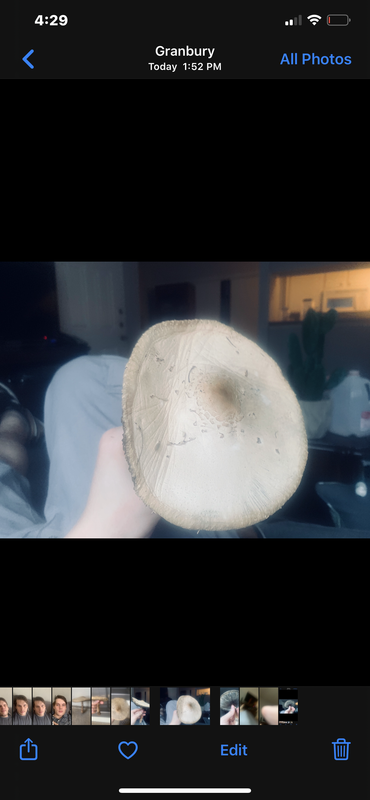 267863DF-1744-444F-9E04-4F5302E45380