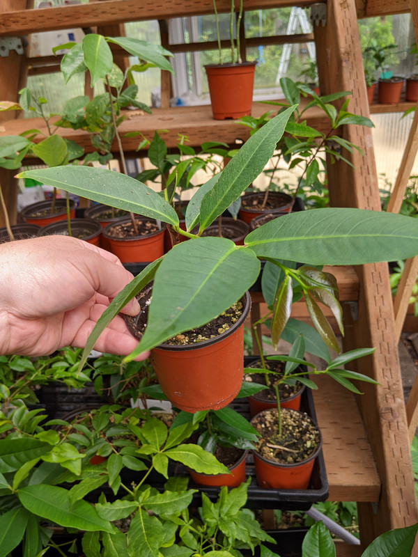 PXL_20230724_190511221