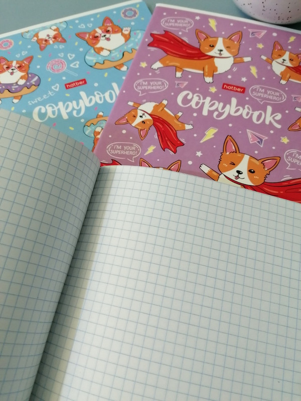 Rainbow 4 Тетрадь Купить