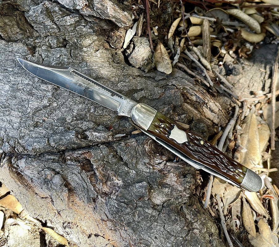 D529ED2A-FDD8-4DD5-AFC0-5D7DE5C9862A