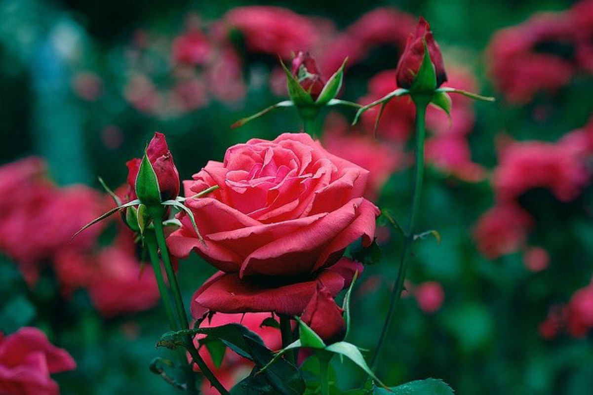 ٢٠٢١٠٦٢٩_٠٥١٦٥٩