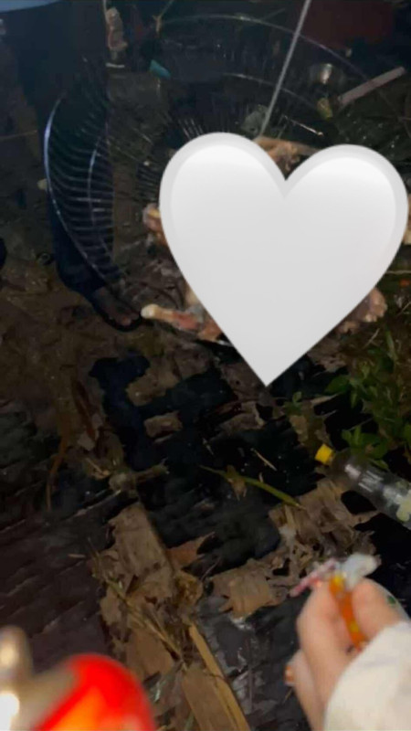 514354022-1890420974871721-6172221422475683158-n