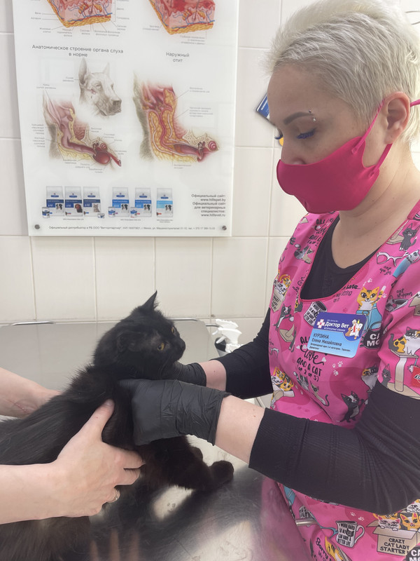 31FAC8E5-E529-4E69-B649-7072B9F5729F