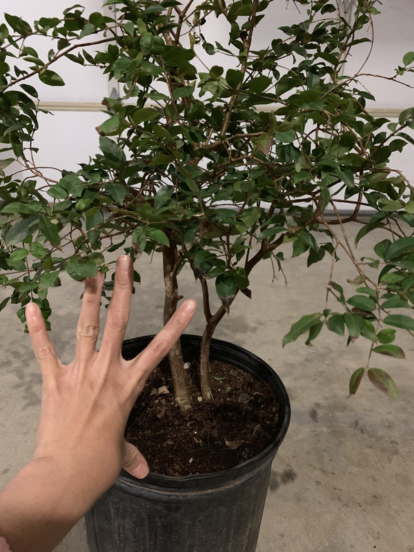 0F912C36-32F5-4577-AA9B-0269B7B8CB85