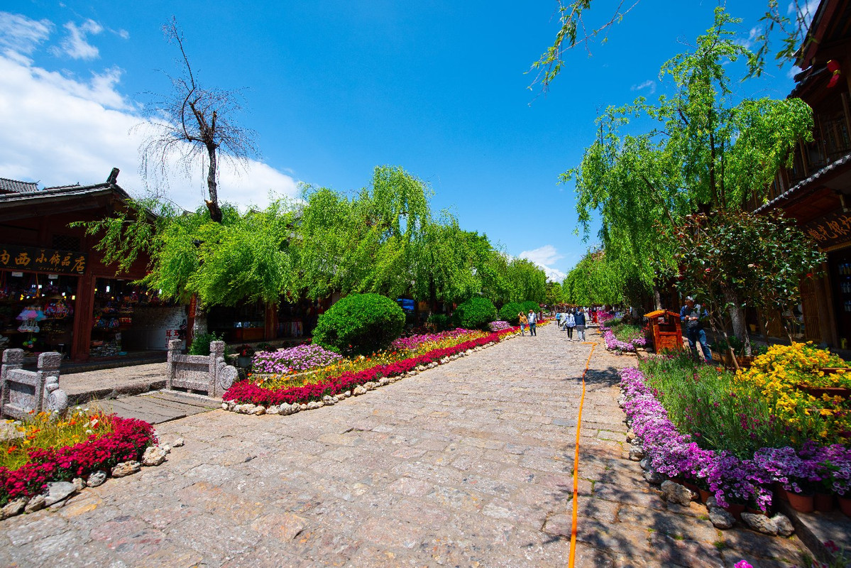 Yunnan 2019 - Blogs de China - Dia 6 - Lijiang y Shuhe (44)