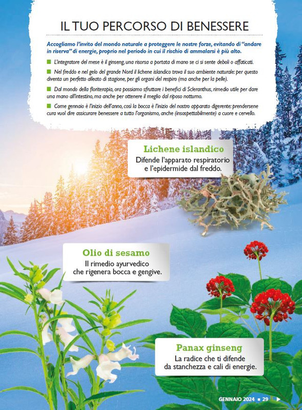 Sal Nat  Gen 2024 (2)