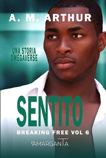 A.M. Arthur - Breaking Free Vol. 6. Sentito (2024)