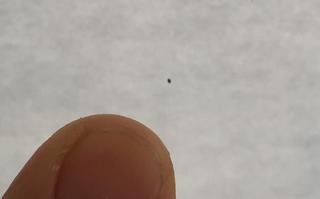 9275DCDF-FFBB-44C8-BBDD-1DDDC2DF9F62