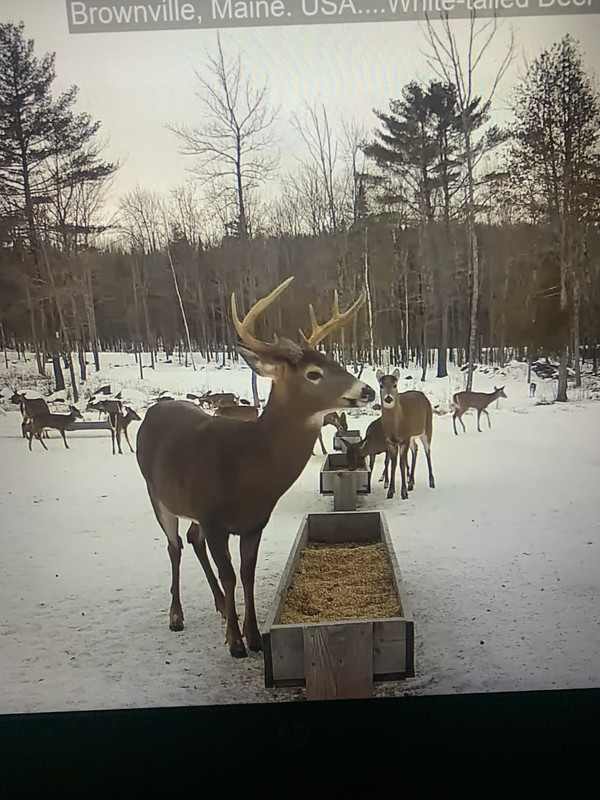 E26015C9-DEBB-4660-BB20-11B59DA1E2F9