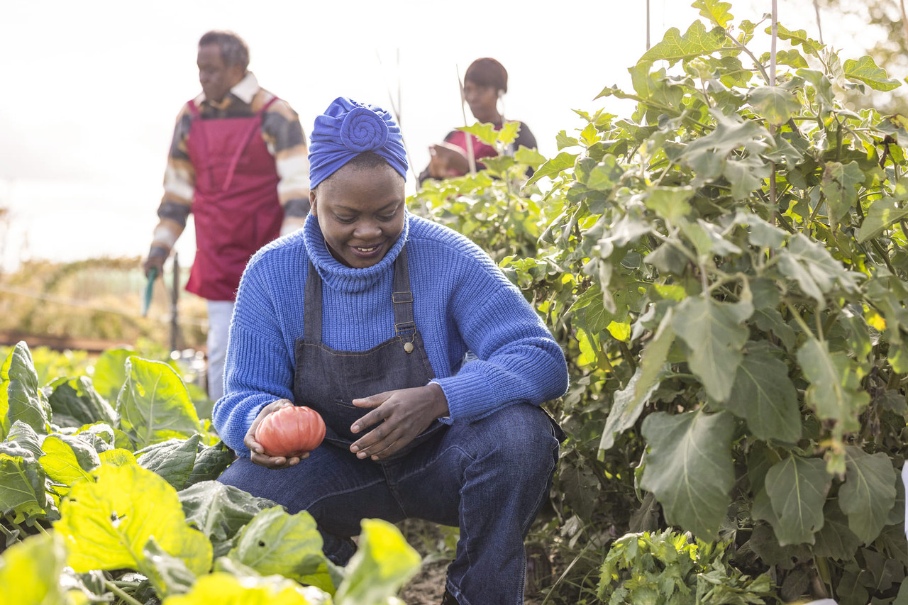 Group of East African farmers