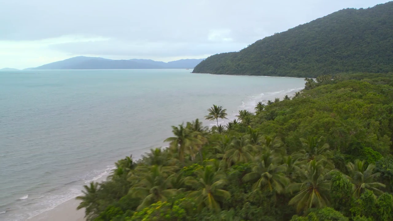 The Mole (US, S06E01) 2