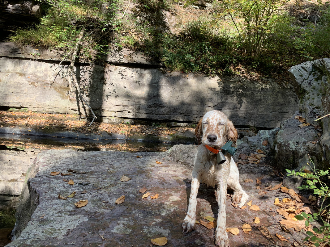 C6F689B1-D94B-4F89-8D86-8FA9501FFEC2